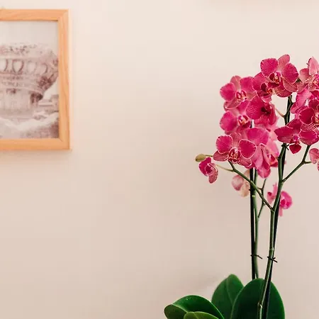 Adriano Augusto Bed & Breakfast 5*